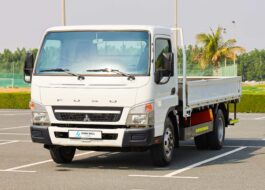 Cargo Utility Truck For Sale In UAE