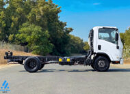 New Isuzu NPR Trucks For Sale in UAE